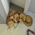 Forest Cottage, Dom wakacyjny *