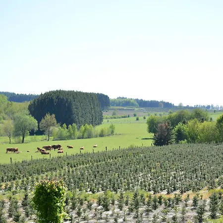 Сasa de vacaciones Forest Cottage,