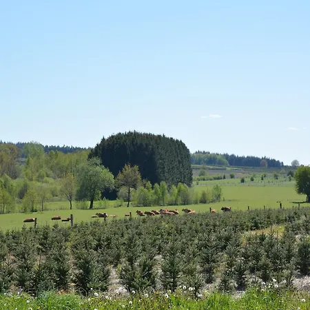 Forest Cottage, Vakantiehuis Jehonville