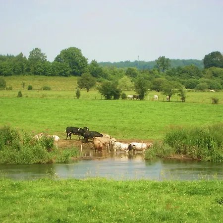 Forest Cottage, Jehonville