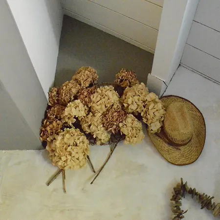 Forest Cottage, Vakantiehuis *