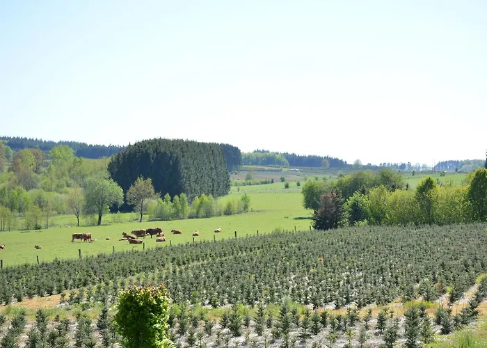 Vakantiehuis Forest Cottage,