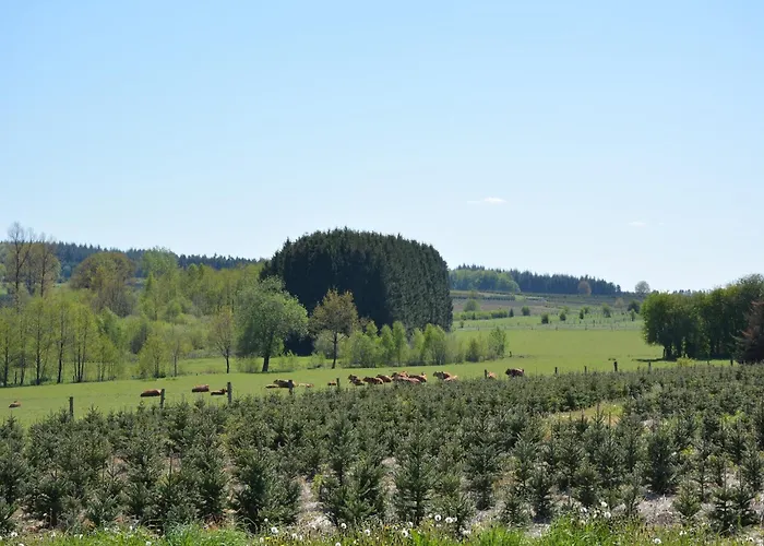 Forest Cottage, Vakantiehuis Jehonville