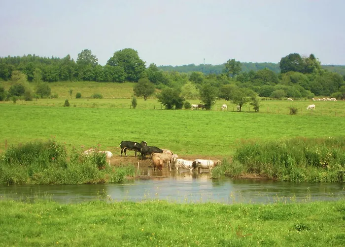Forest Cottage, Jehonville