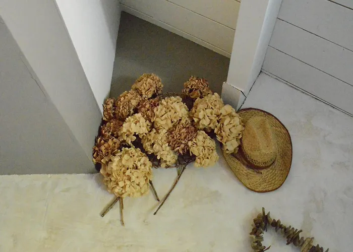 Forest Cottage, Сasa de vacaciones *